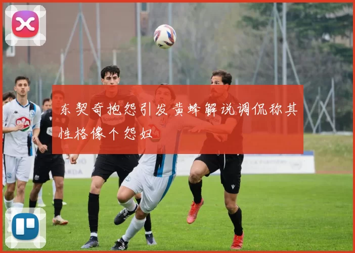 东契奇抱怨引发黄蜂解说调侃称其性格像个怨妇